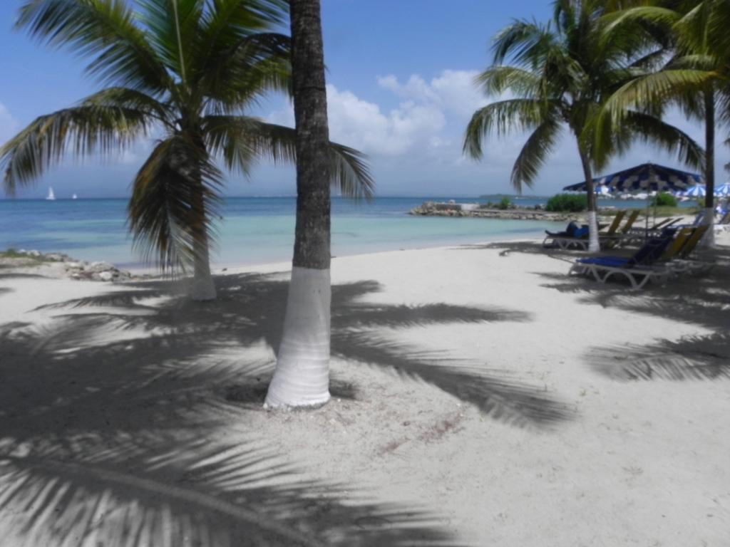 Appartement Bord De Mer Tres Fonctionnel , Sur La Plage & Vue Mer Exceptionnelle 哥西尔 客房 照片